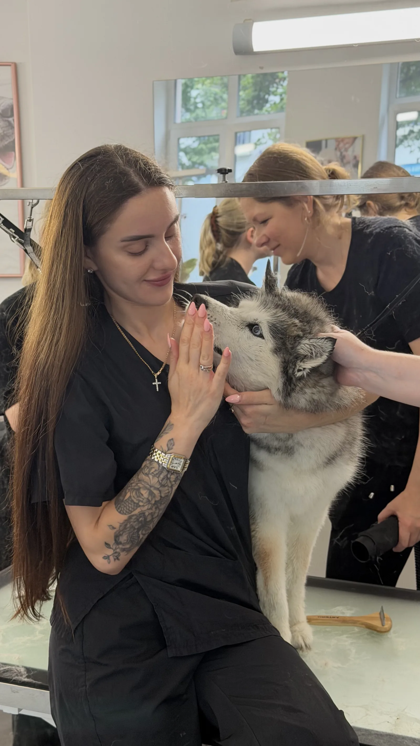 Groomerin bei der Fellpflege eines Huskys während eines Academy-Kurses