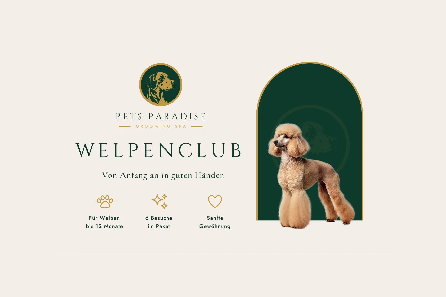 Welpenclub